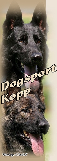  DOGSPORT � Joachim Kopp 